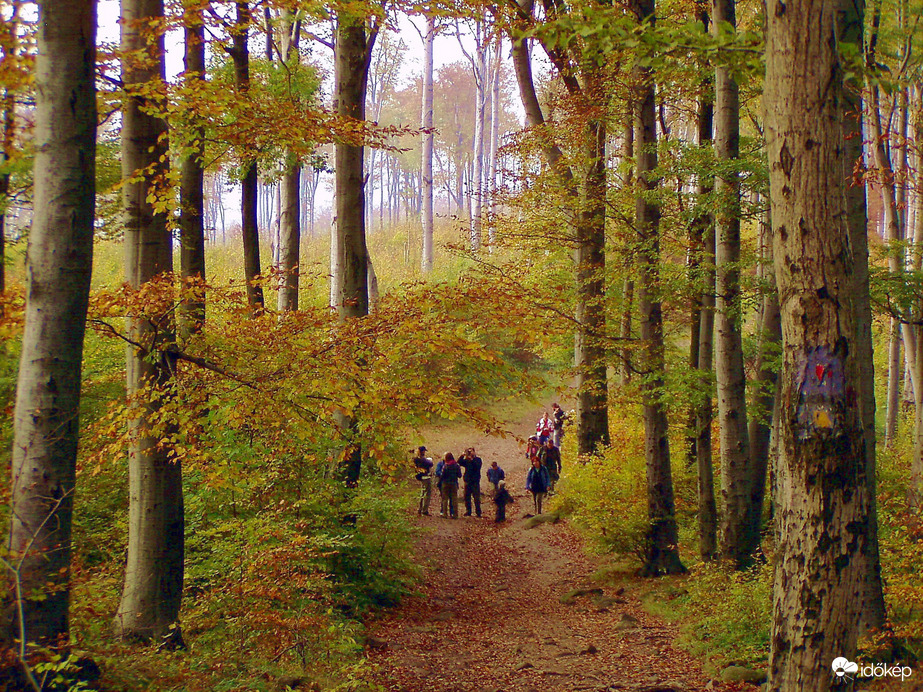 Októberi kirándulás 