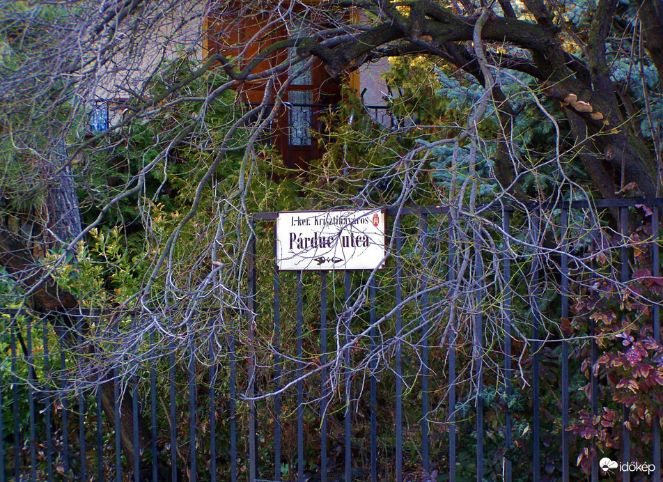 Őszi hangulat a Naphegyen 