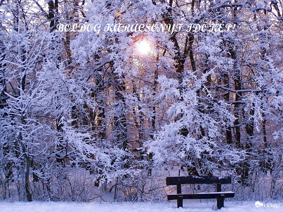 Boldog Karácsonyt, kellemes Ünnepeket! 