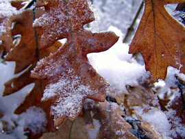 Téli világ a hegyen