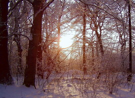 Téli világ a hegyen 