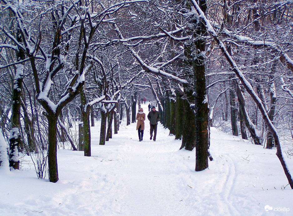 Hahó, itt a hó! :)