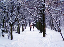 Hahó, itt a hó! :)