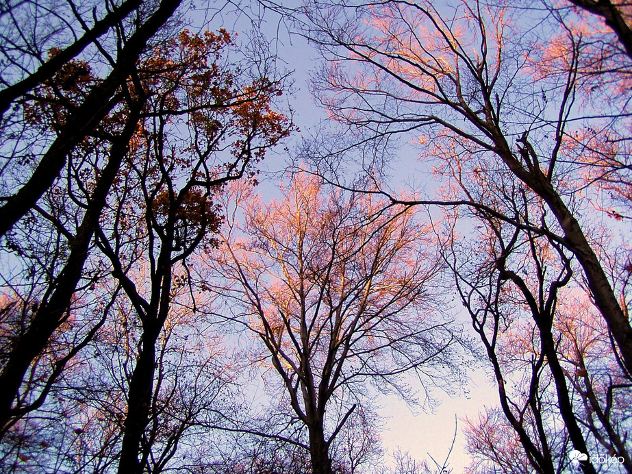 Felettünk, a magasban