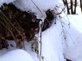 Beköszöntött az igazi tél 