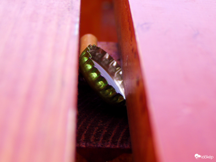 Köztéri makró...:)