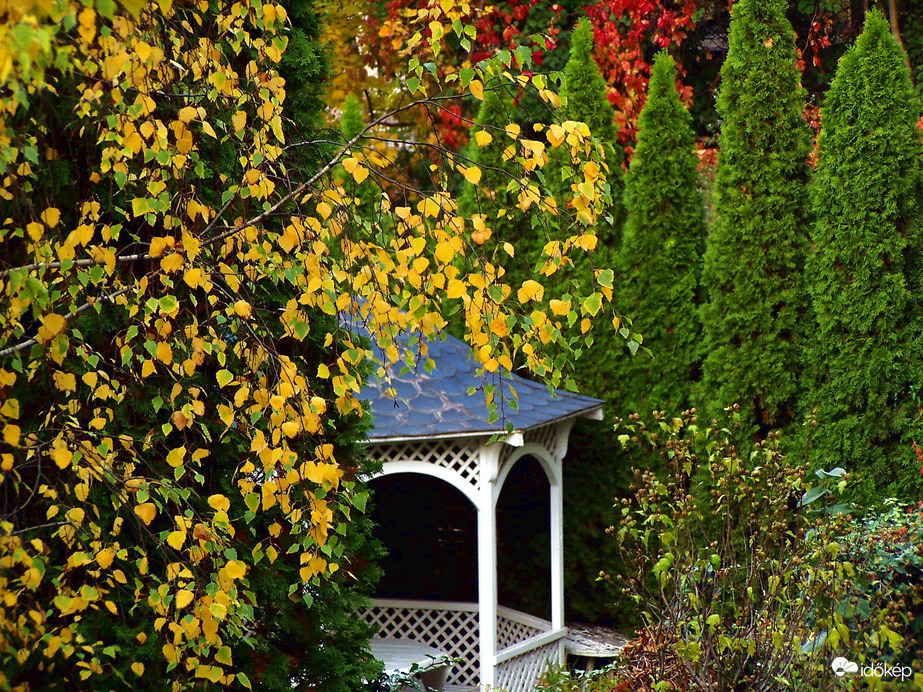 Ősz a kertben 