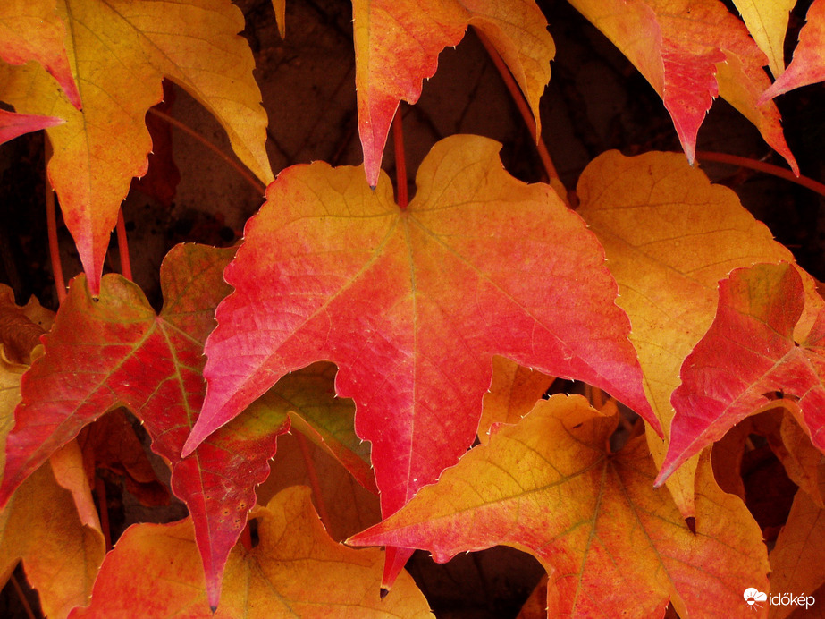 Versenyfutás az idővel :) 