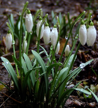Egész napos zuhanyozás :) 