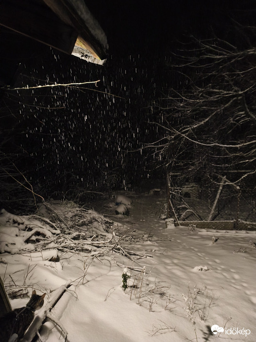 Észlelési fényképek