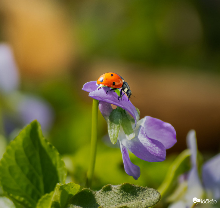 georgina1011 fotója