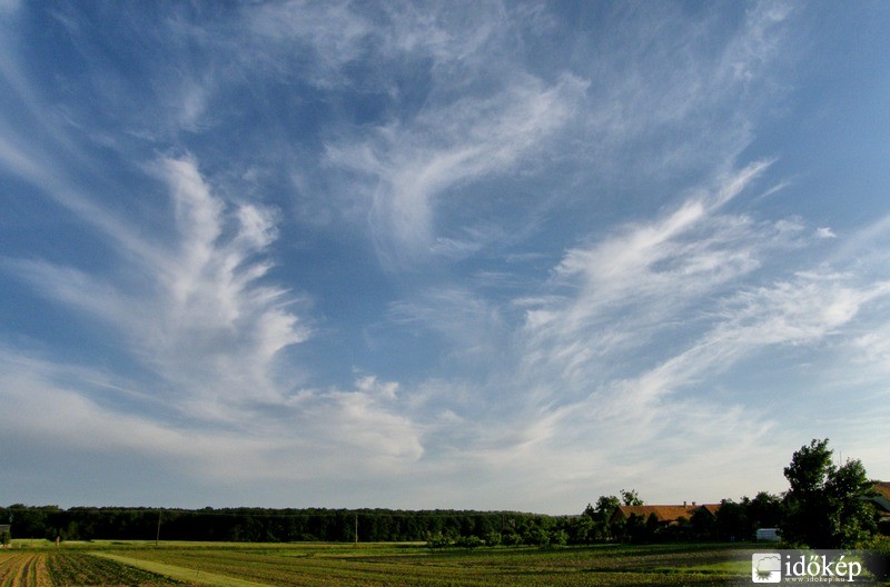 Vasalja