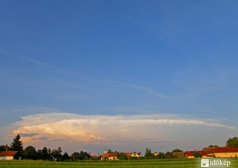 Vasalja