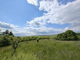 Stoob Süd
