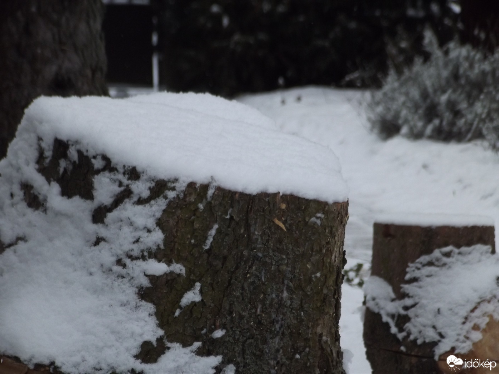 Észlelési fényképek