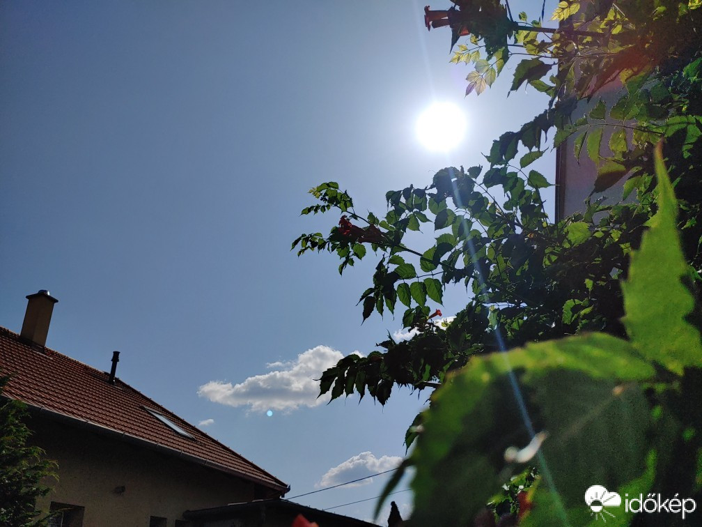 Észlelési fényképek