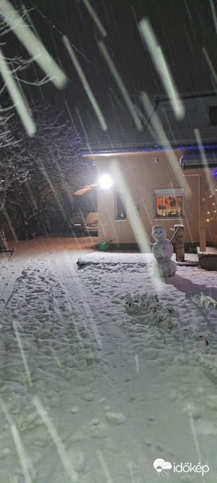 Észlelési fényképek