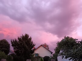 Szabadka
