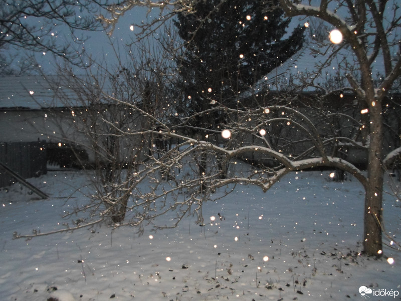 Észlelési fényképek