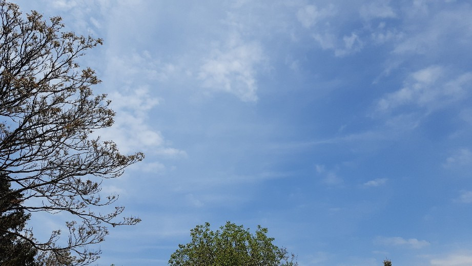 Jászalsószentgyörgy