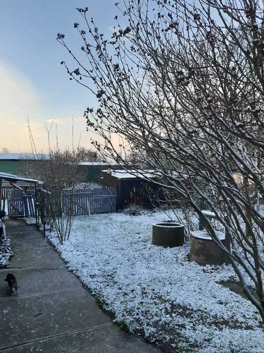 Jászalsószentgyörgy