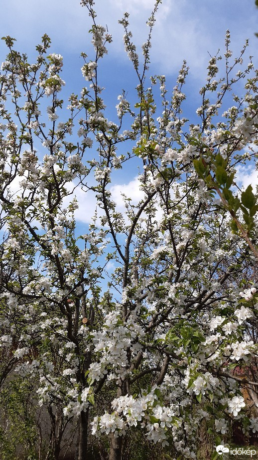 Jászalsószentgyörgy