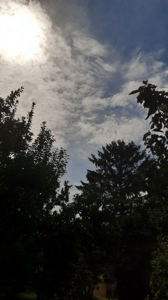 Jászalsószentgyörgy