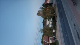 Jászalsószentgyörgy