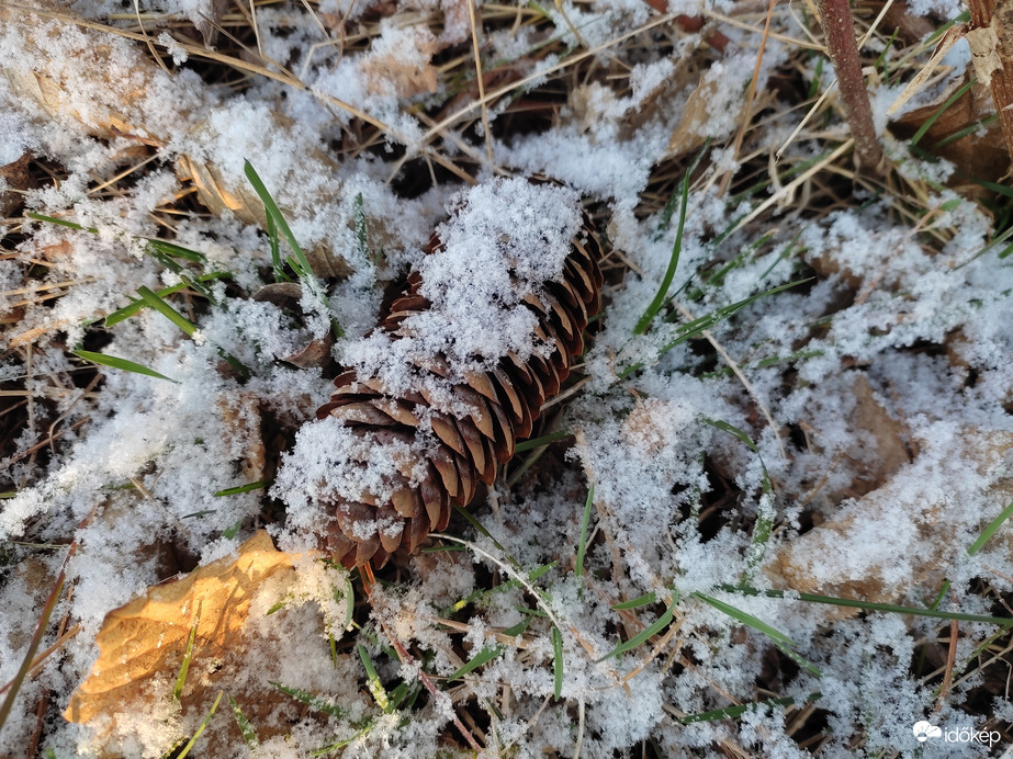 Észlelési fényképek