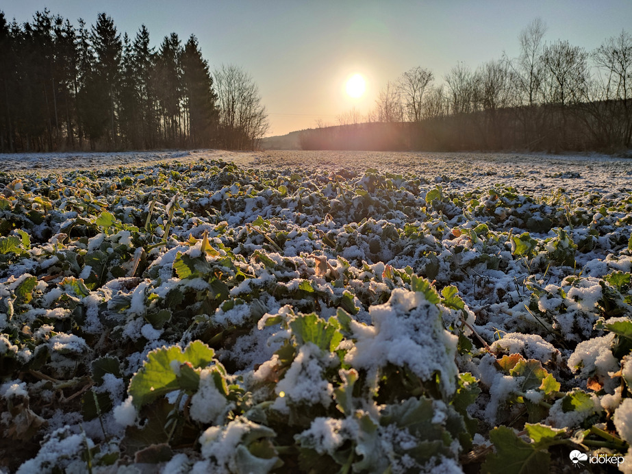 Észlelési fényképek