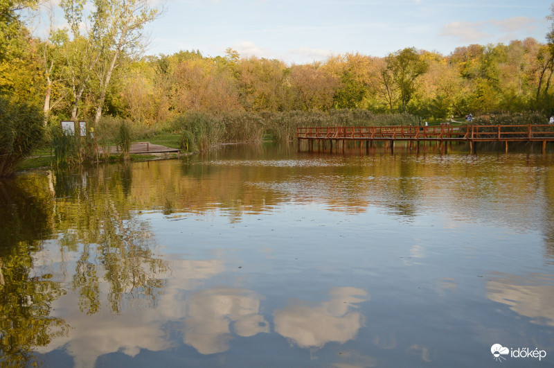 Béka-tó 