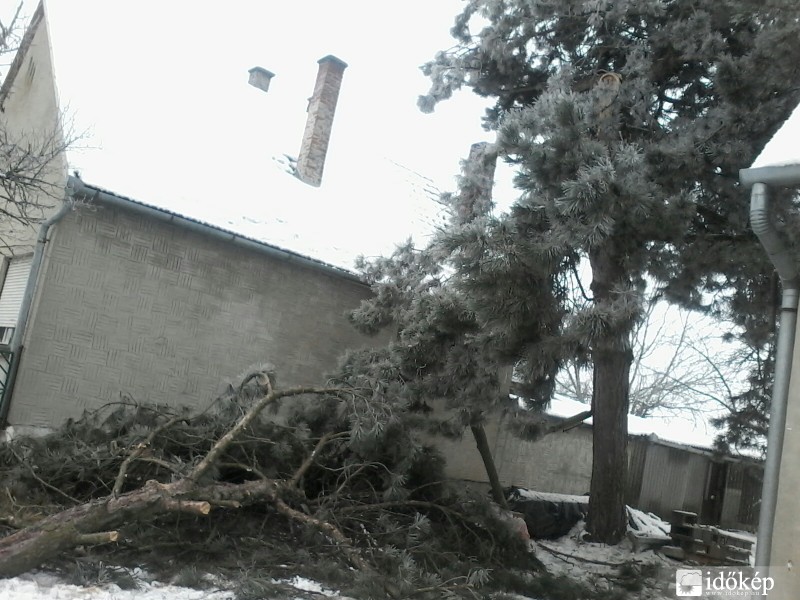 Észlelési fényképek