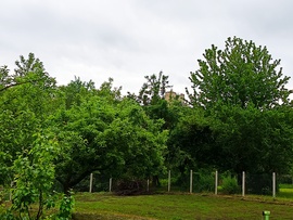 Csesznek