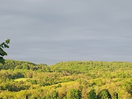 Csesznek