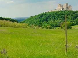 Csesznek