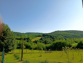 Csesznek