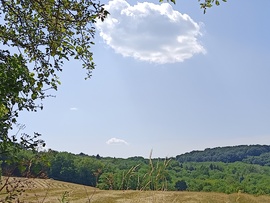 Csesznek