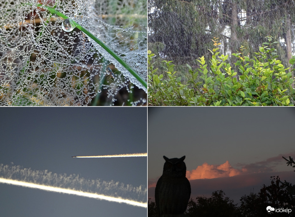 Észlelési fényképek