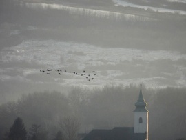 Vadlibák a távolban 2. 