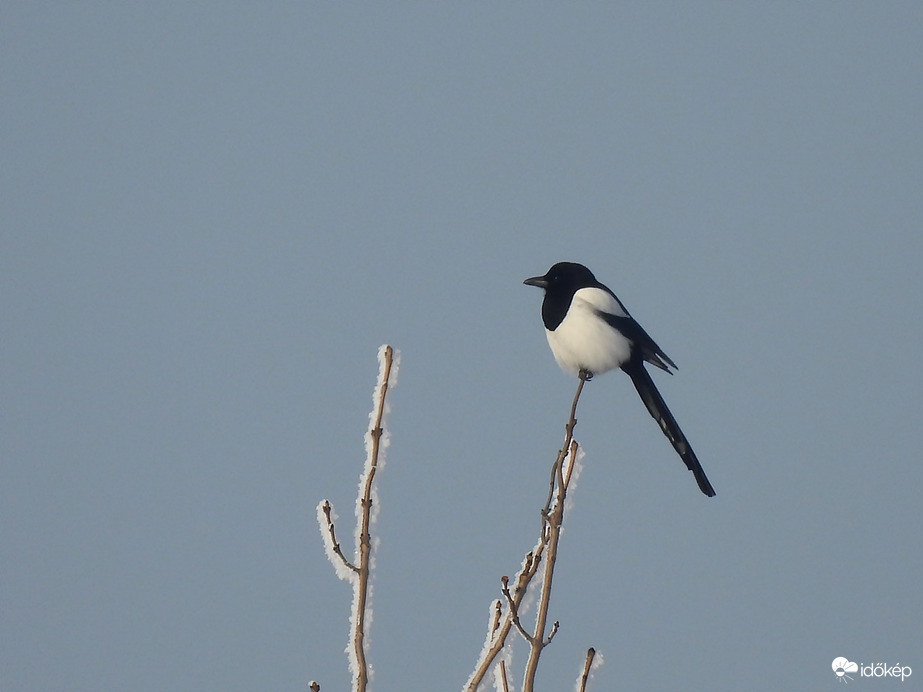 Volt már ilyen, lesz még ilyen