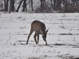 Ott eszlek meg ahol vagy! 