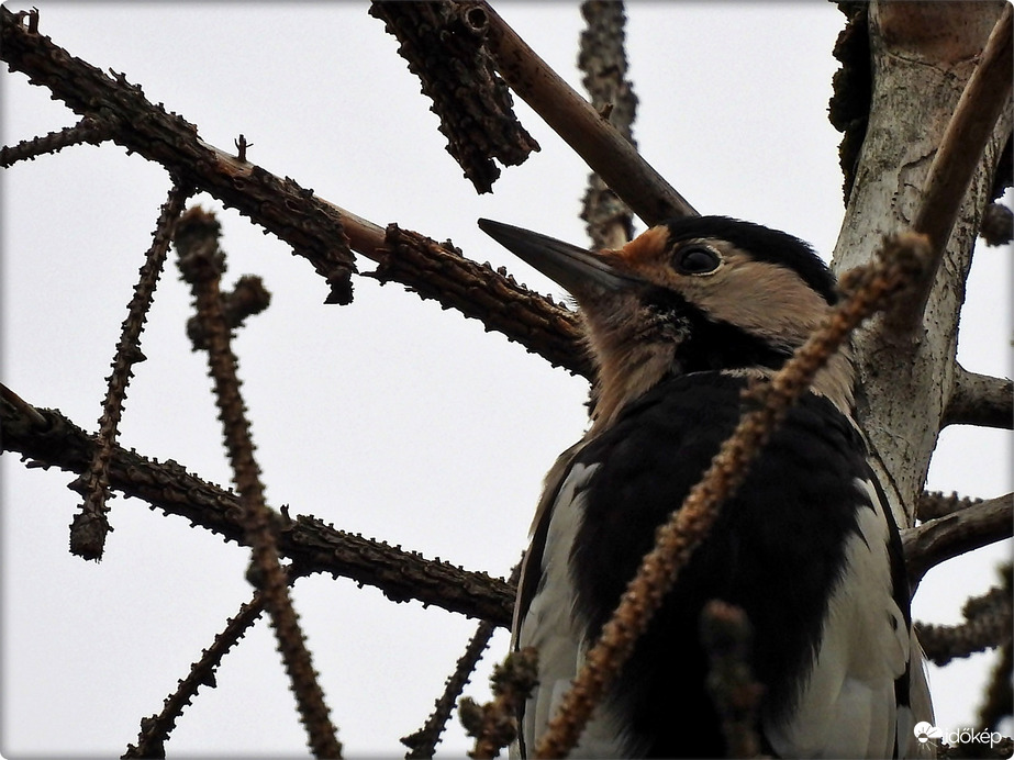 Egyet rontok, kettőt javítok 