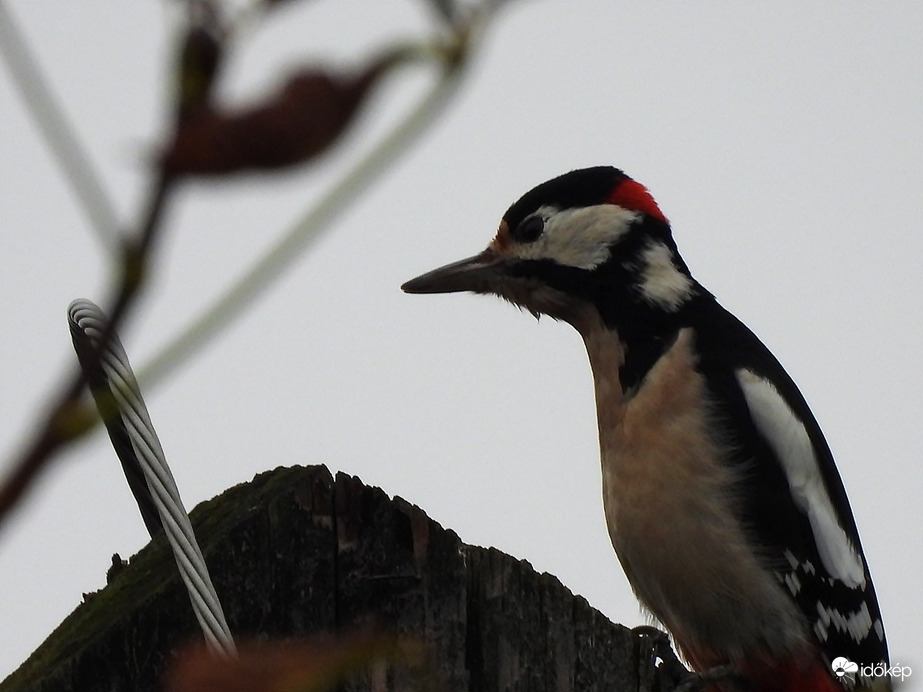 Nem változol, gyanús vagy! 