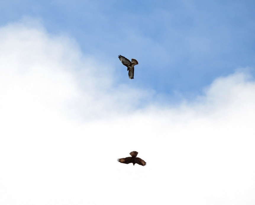 Kergetőzés a magasban 