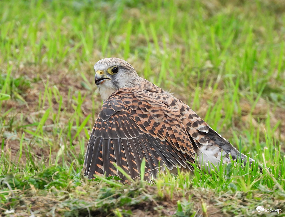 Akinek van takargatnivalója 