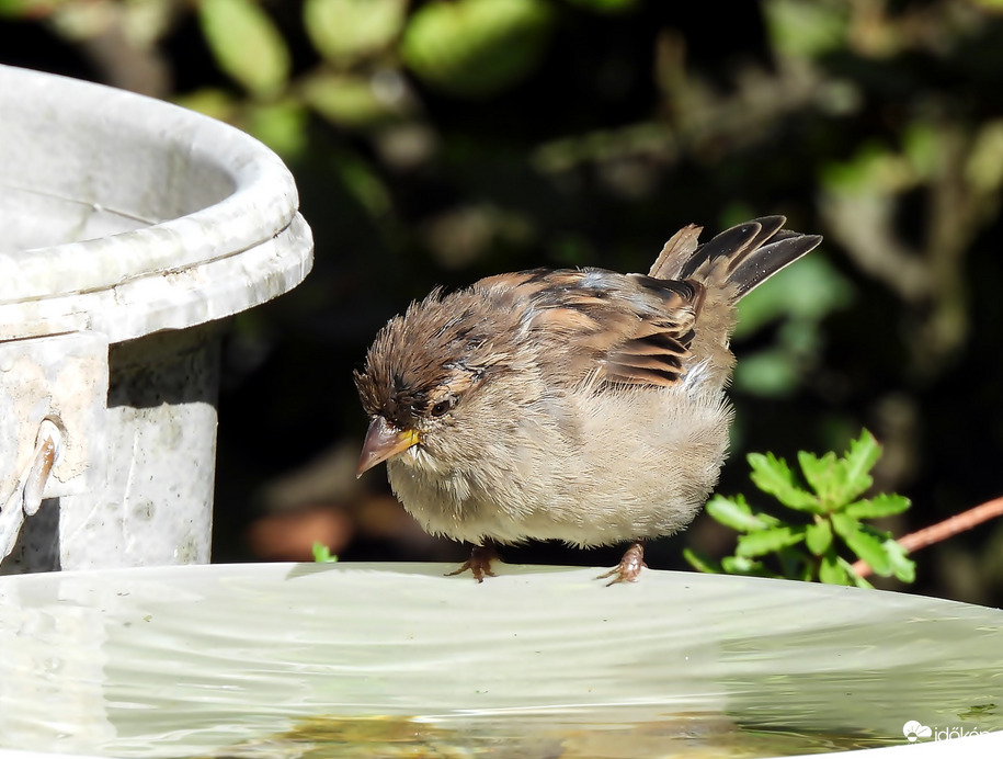 Próbálom megérteni 