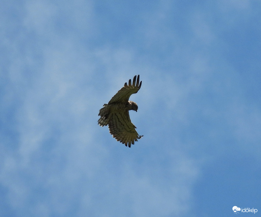 Ölelni is tudok, nem csak "ölni" 