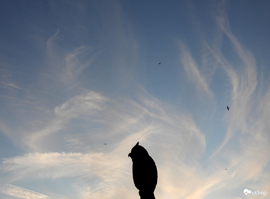 Naplemente cirrusokkal 