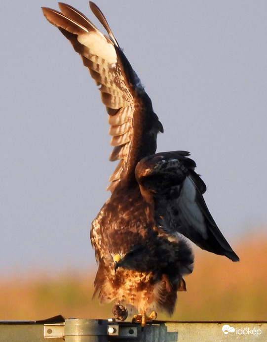 Kényelmetlen állóhely