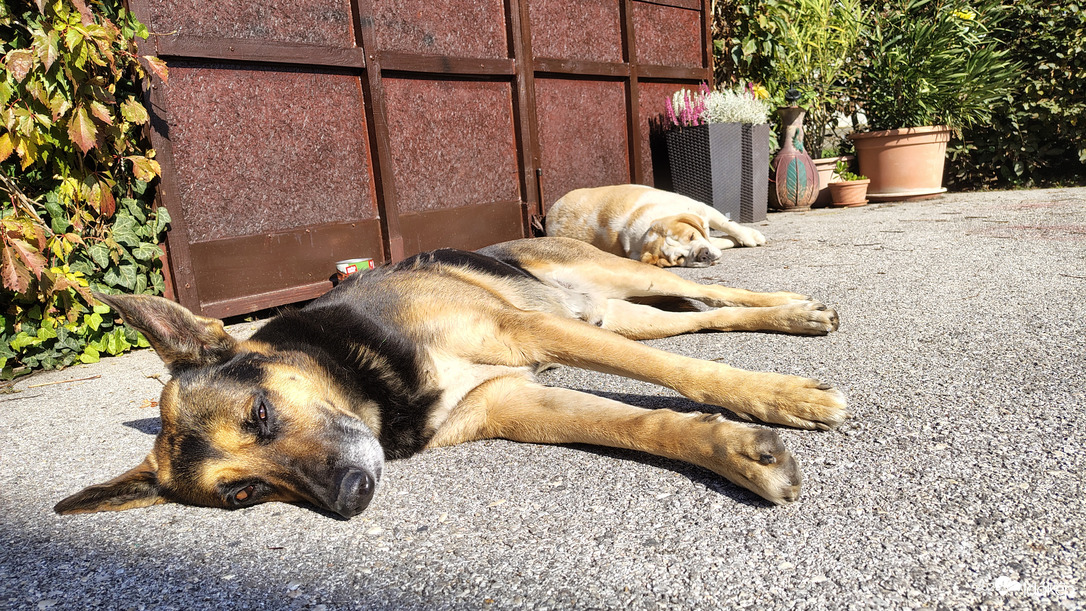 Őrzés-védelem a nap 20, 18,16...órájában